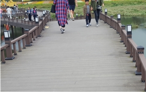 ���������� ������ ���� ����...