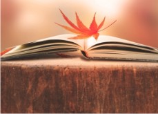 ��������ǳ��(������������)�߸��� ����(����)��