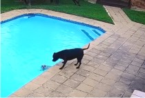 ���� ���� ������������34�� ���� ���� ������ �߰�