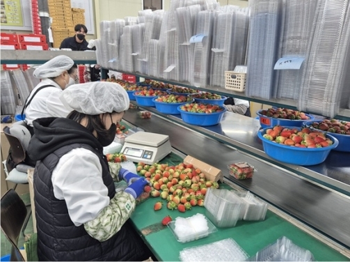 �泲 ������ǰ ���� 15��4300�� �޷� ���� �ִ롦������ 4.2%��.