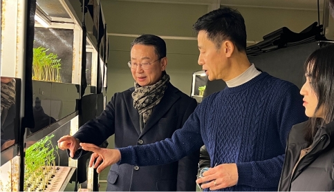 ������ �����λ�, �Ϻ� ���� ���� ����