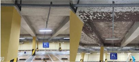 SH크린환경, 2026 한국소비자만족브랜드대상 수상