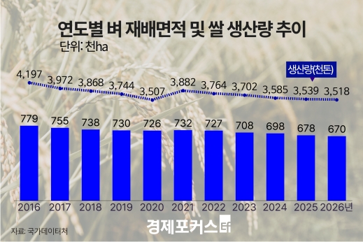 올해 쌀 생산량 351만8000t…5년 연속 감소 전망